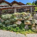 Wildflower Society