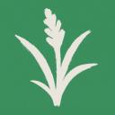 Cỏ Dại Studio icon
