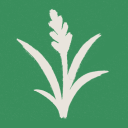 Cỏ Dại Studio icon