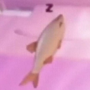 WAVITY Discord server icon