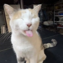 uniwersum Witkowic in disco...