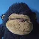 Gump the gorillas gaming chat Discord server icon