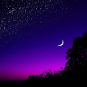 Discovery icon for 𝘚𝘦𝘳𝘷𝘦𝘳 𝘚𝘩𝘶𝘵𝘥𝘰𝘸𝘯. Discord server