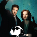 THE Film Fanatics Discord server icon