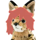 Athena's Critter Den