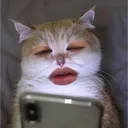 拉拉の隠れ家
