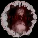 PLUH INC. (official)