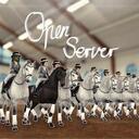 「OS sɪʟᴠᴇʀ ᴘɪᴏɴᴇᴇʀs」 Discord Server Icon