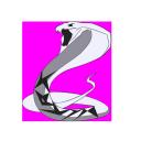 Spynex icon