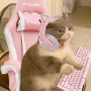 Chowabunga