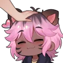 Tanuki Time