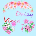 Vinca Daizy