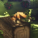 AnyWho LifeSteal SMP Server Icon