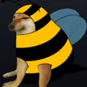 Spbacon