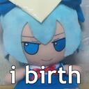 Bronya Cult icon