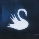swans