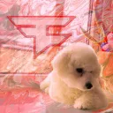 Sugar Fan Page FaZe