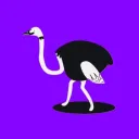 Ostrich Nest