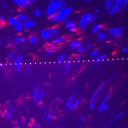 Talk it Discord server icon