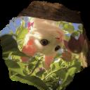 Server Icon