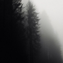 All's Community (Decadenci...