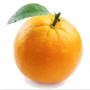 OFFICIAL orange server! 🍊