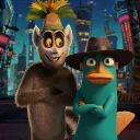 kedy und Perys dc