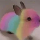 Club Bunny