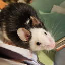 Dogs N' Others Discord server icon