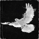 Server icon for 𝗦𝗲𝗻𝗸𝗲𝗶