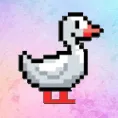 Quack