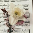 Musicians [NL/BE] Discord server icon