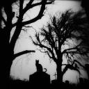 The Cemetary Discord Server