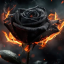 Black Rose Promotions