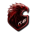 CS404