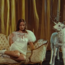 ౨ৎ Laufey’s Pfps & More Discord server icon