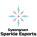 Gyeongnam Sparkle Esports