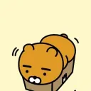 카카오 꽁돈 24시간