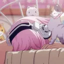 MIYUKI
