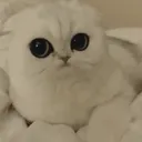 abcdefghijklmnopqrstuvwxyz