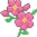 nadeshiko