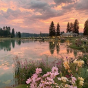 layerz 𖡼.𖤣𖥧𖡼.𖤣𖥧˚˖𓍢ִ໋ Discord server icon