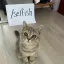 /selfish 🎃