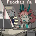 自动售货机构 Vending Mechinery