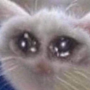 해파리 수면법 Discord server icon