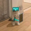 Bucky's Minecraft Home