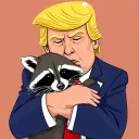 Lazy Raccoon