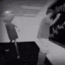 Koshka e Amigos