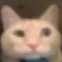 Gᴀᴄʜᴀʀᴏɴᴘᴀ: FT : cancelled