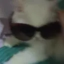 karoo's server Discord server icon